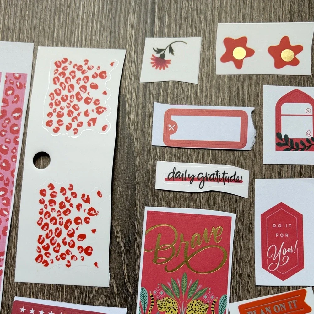 ❤️$3 Wild Red and Pink Hues Not So Mystery Happy Planner Sticker Set